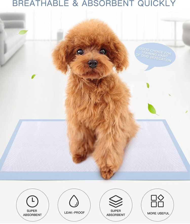 Disposable Pet Pee Pad