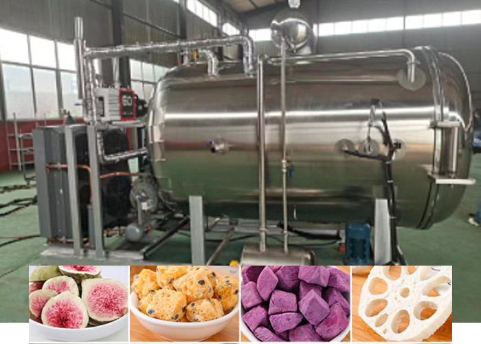 Food Fruit Freeze Dryer Machine With Bitzer Refrigeration System
