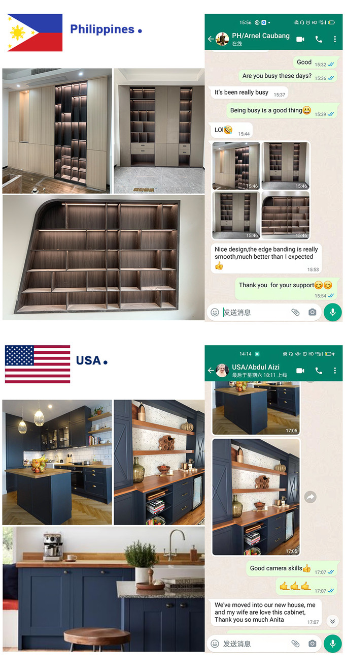 Balom Accessory Modular Design Home and Kitchen Furniture with Veneer Laminated Finish