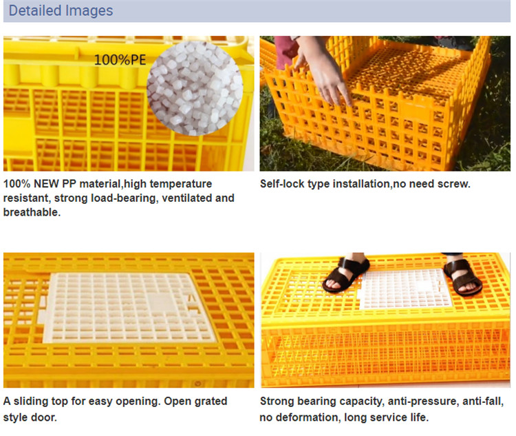 Poultry Broiler Quail Pigeon Plastic Chicken Transport Cages