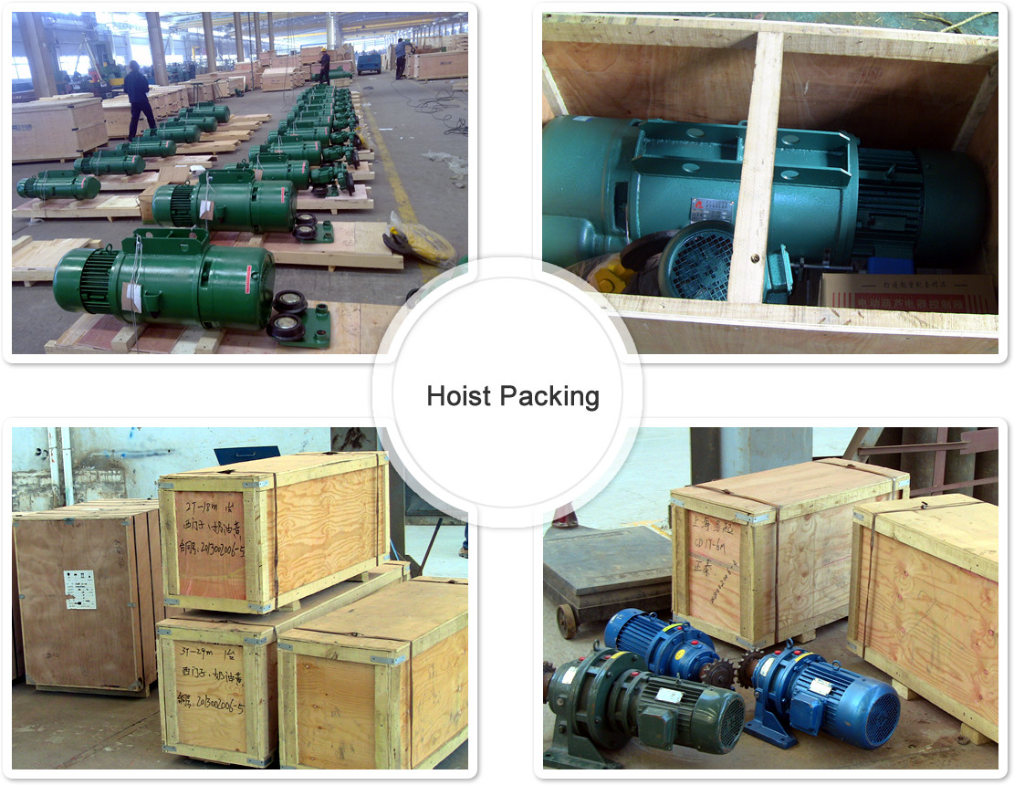 Workshop Double Speed Electric Cable Hoist Trolley High Efficiency For Monorail Crane
