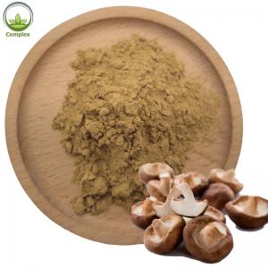 China Factory Supply Shiitake Mushroom Extract Concentration Shiitake Mushroom Powder Extract on sale
