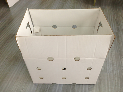 Corrugated Board Fruit Carton Box