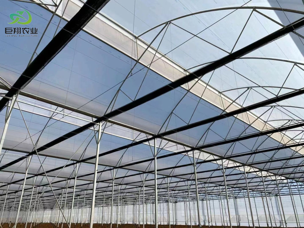 Agriculture Poly Tunnel100% Blackout Automatic Light Deprivation Greenhouse for Canada / USA