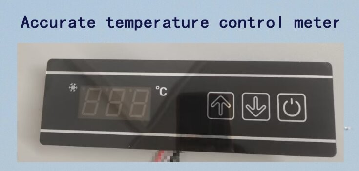 600L 2 Door Commercial Freezer Direct Cooling Dual Temperature Refrigerator Freezer