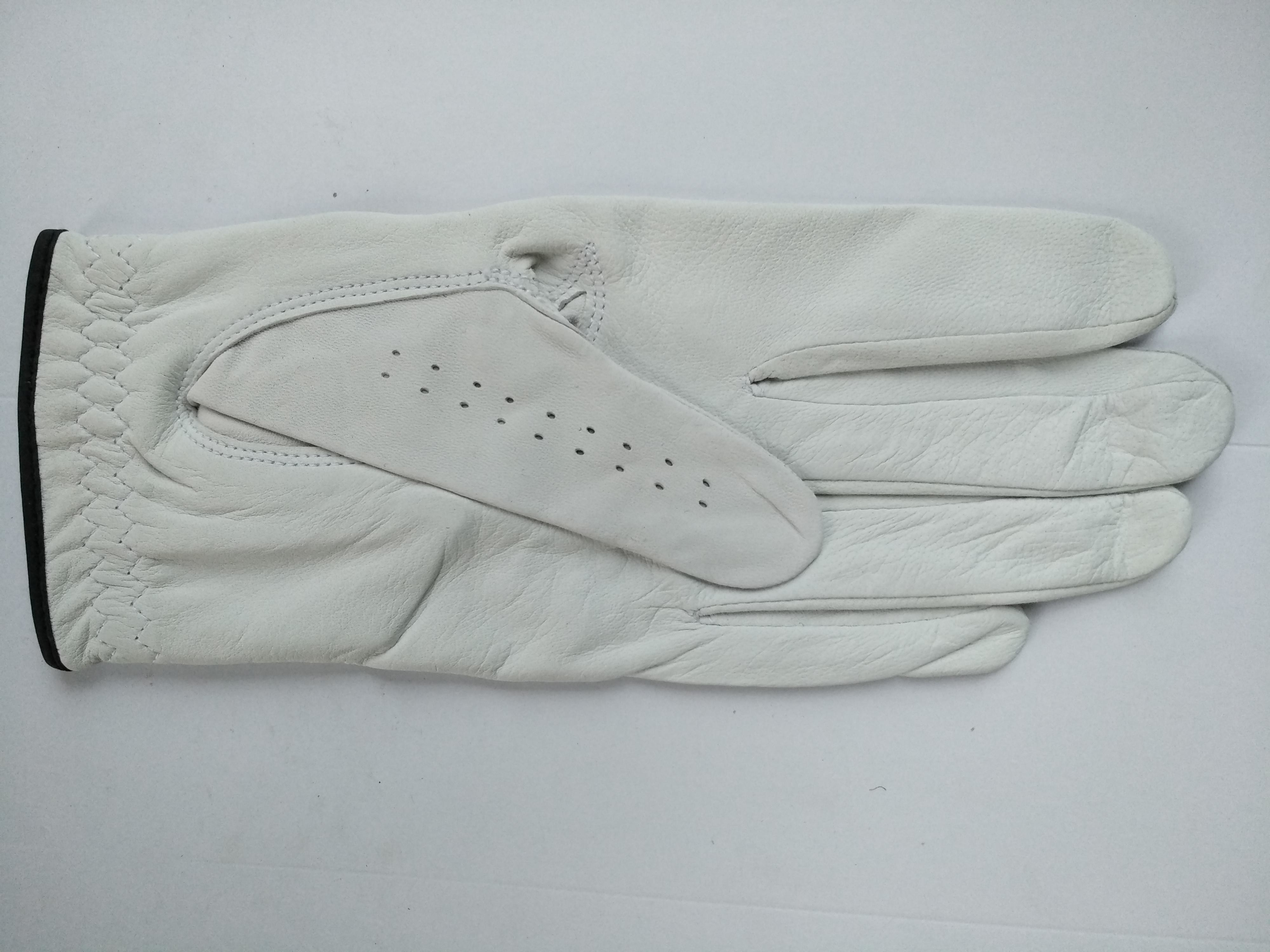 golf glove , golf gloves , glove , gloves