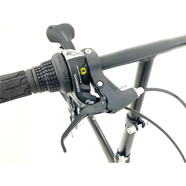 Modern Outdoor Activities 20 Inch Folding Bicycle With Steel Frame And 7 Speed Gears