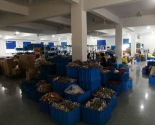 Shanghai Elite Industry Co.,Ltd
