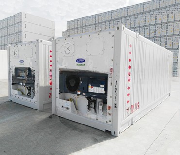 Customized Dimension 23ft BV Certified Refrigerator Storage Container -30- 30C Temperature Range 380/440V