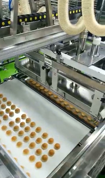 ISO Special Purposed Push Type Vacuum Cake Depanner