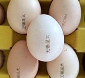 Desktop CO2 Laser Marking Engraving Machine With Small Format Protective Shell Design Optional