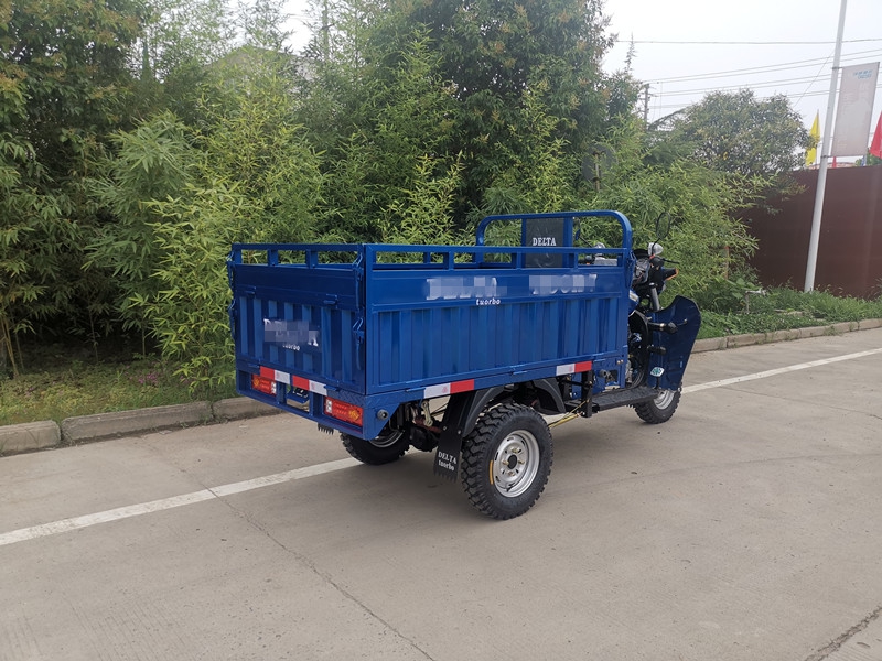 Egypr 3 Wheel Gasoline Motorcycle 200CC Cargo Tricycle