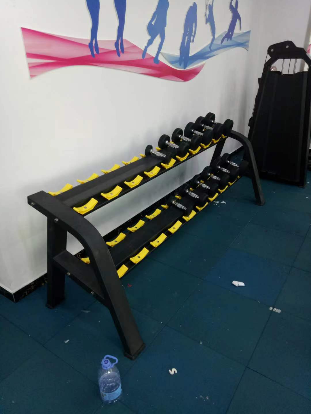 Befreeman Factory Direct Supply Gym Fitness Equipment Dumbbell Storage Rack