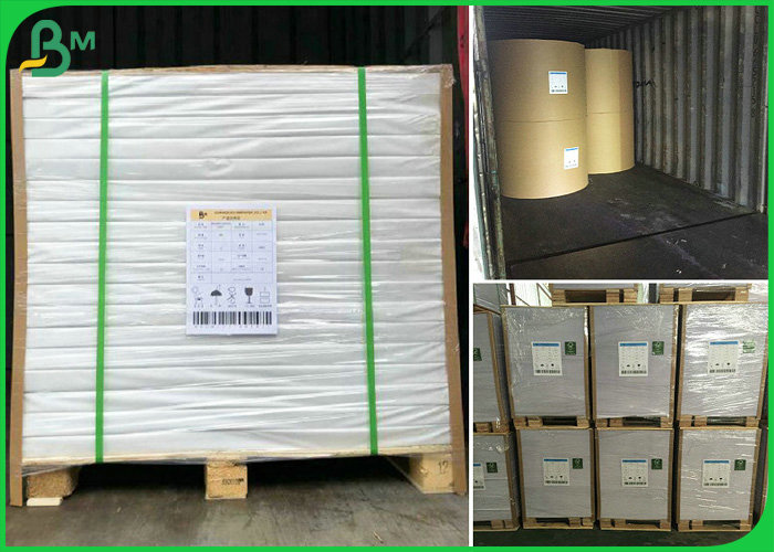 55gsm 60gsm Reels Size 900mm FSC Certified Exercise Book Paper For Printing