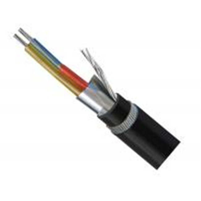 Overall Copper Wire Braiding /Shield Computer Cable with Solid Conductor Armoured