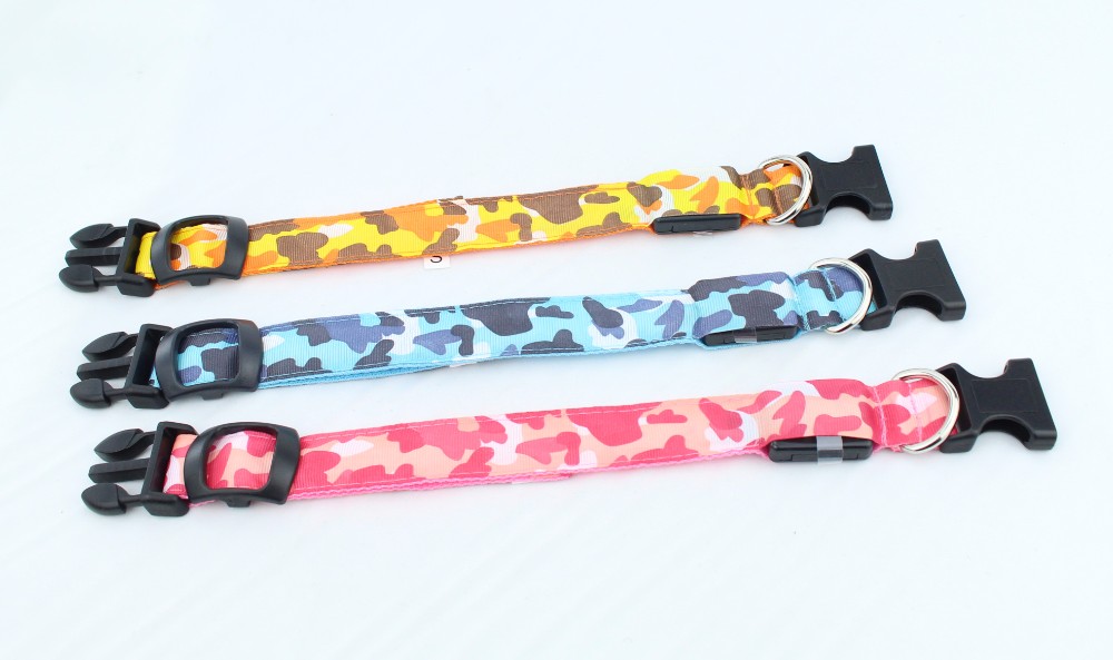 Flashing Light Up LED Dog Collar / OEM Illuminated Dog Collar Leash