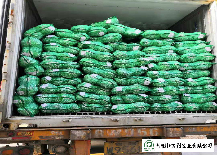 Natural Bright Green Flat Dutch Cabbage , Ball Cabbage Maintaining Enhancing