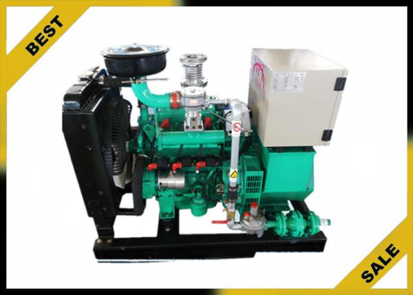 40 Kw Aspiration Propane Powered Generator Strong Power , Power Electric