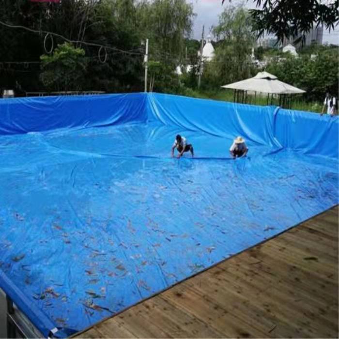 Industrial Design Style 1mm 0.8mm Biodigester Geomembrane for Fish Farm Pond Liner