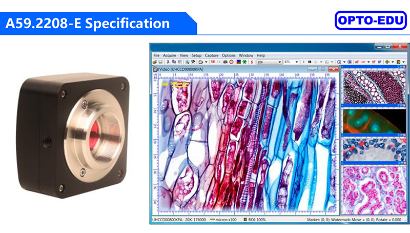 USB 2.0 Digital Camera Microscope Microscope Accessories A59.2208