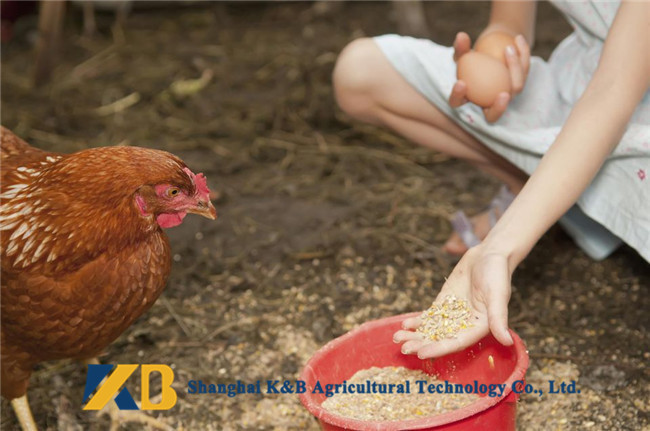 Animal Protein Nutritious Dried Fish Powder / Poultry Chicken Feed Non - GMO Grade