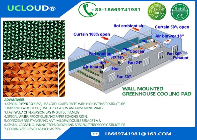 Air Conditioner Used Evaporative Cooler Pad/Poultry Cooling Pad with reasonable price​ for animal husbandry and greenhouse