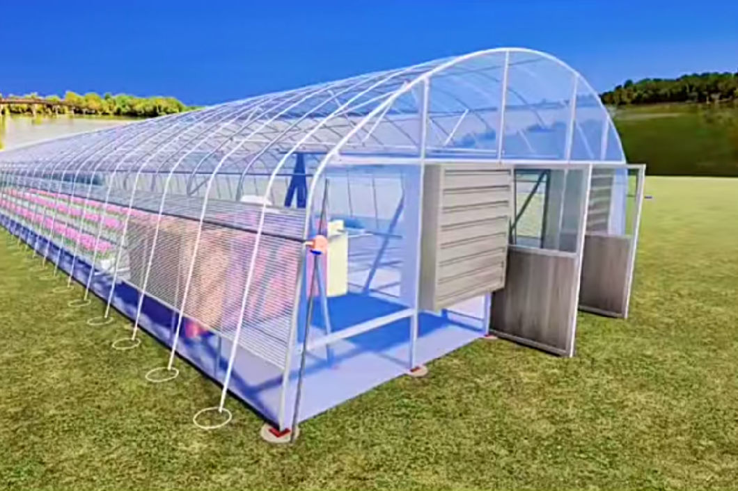 Tunnel Greenhouse for Agriculture and Vegetables