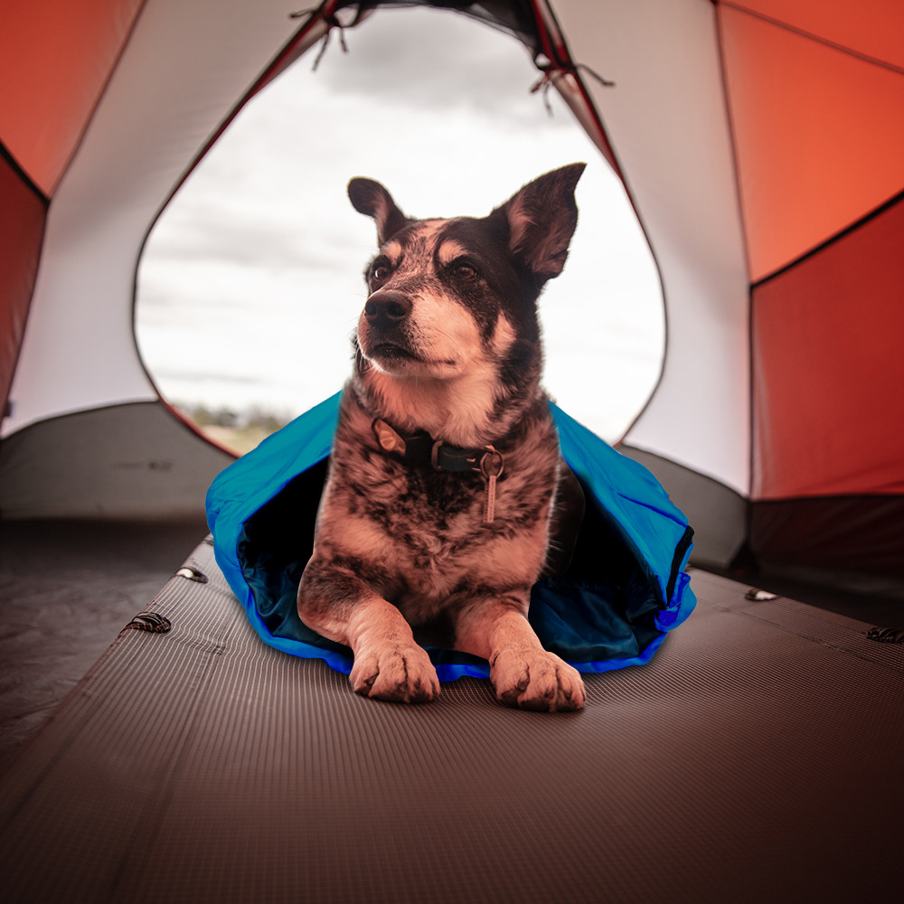 ISO9001 Polyester Lining 0.7 lbs Pet Sleeping Bag