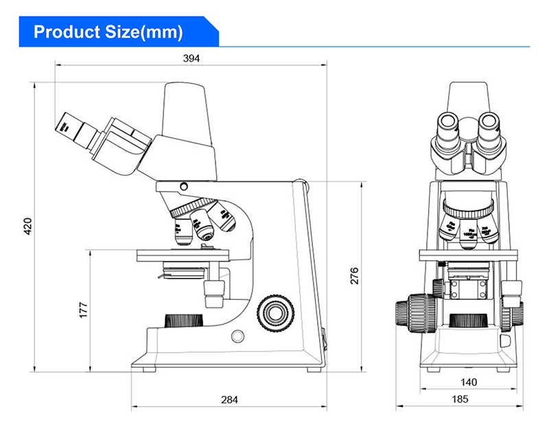 WF10X/20mm Seidentopf Binocular Digital Microscope A31.2601 With Mechanical Stage