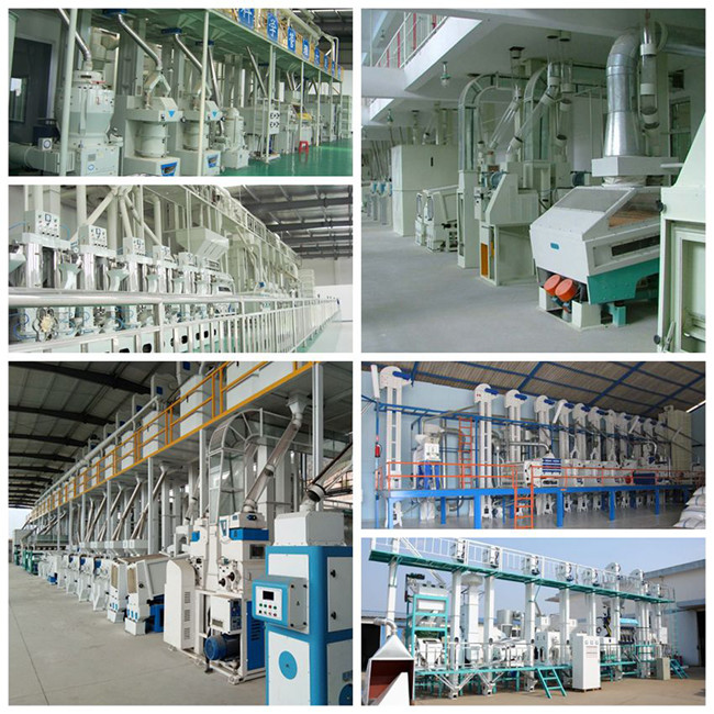 10T Feed Steel Screw Auger Conveyor For 200T Rice Milling Plant