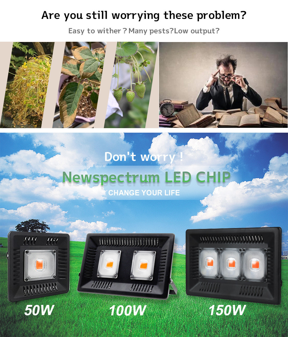 IP65 AC COB LED Waterproof LED Grow Light For Greenhouse Grow Tent