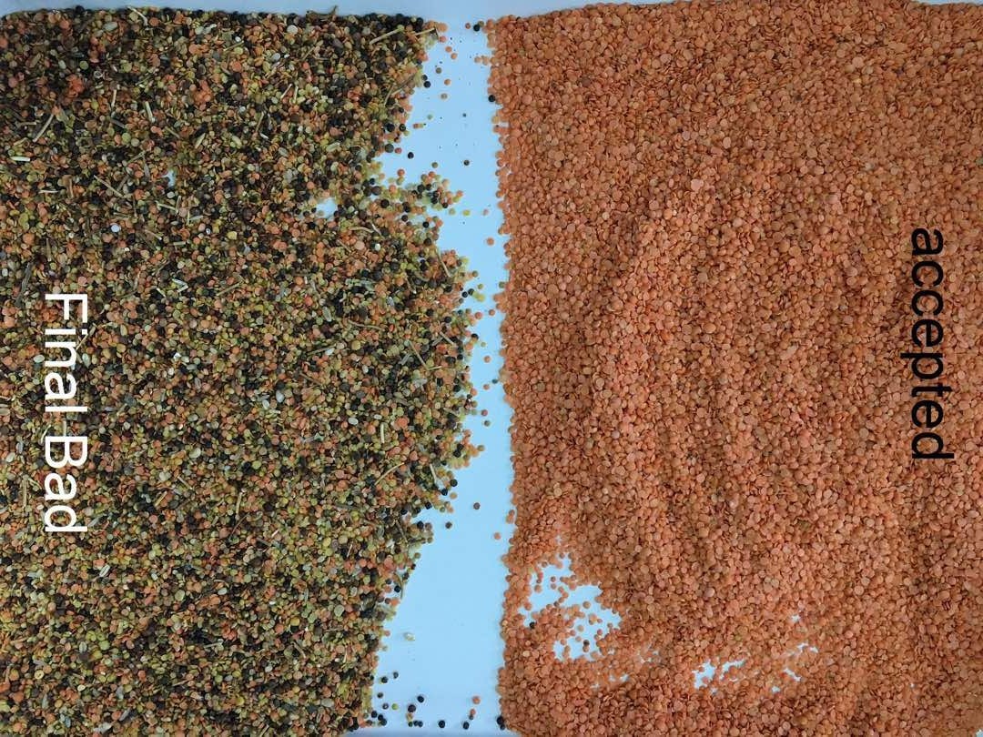 CCD Camera Sunflower Kernel 2t/H Color Sorter Machine 256 Channels