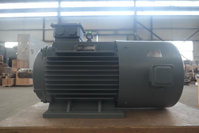 Low Rpm Permanent Magnet Alternator Low Noise And Maintenance