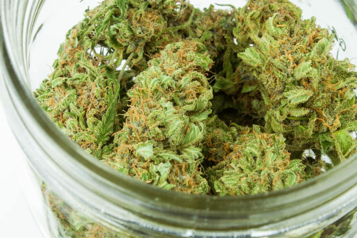 smell proof bags for weed