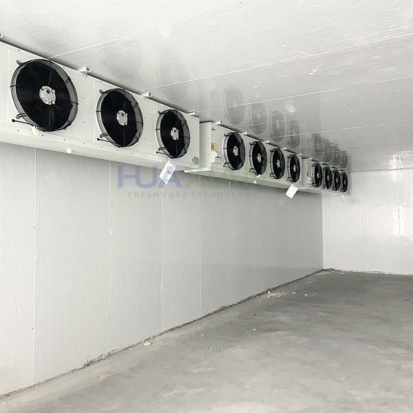 Fresh Vegetable Fruit Insulation Refrigeration Condensing Unit Walk in Freezer Cold Room