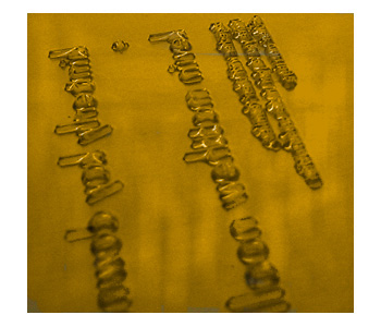 Water Soluble Photopolymer Plate