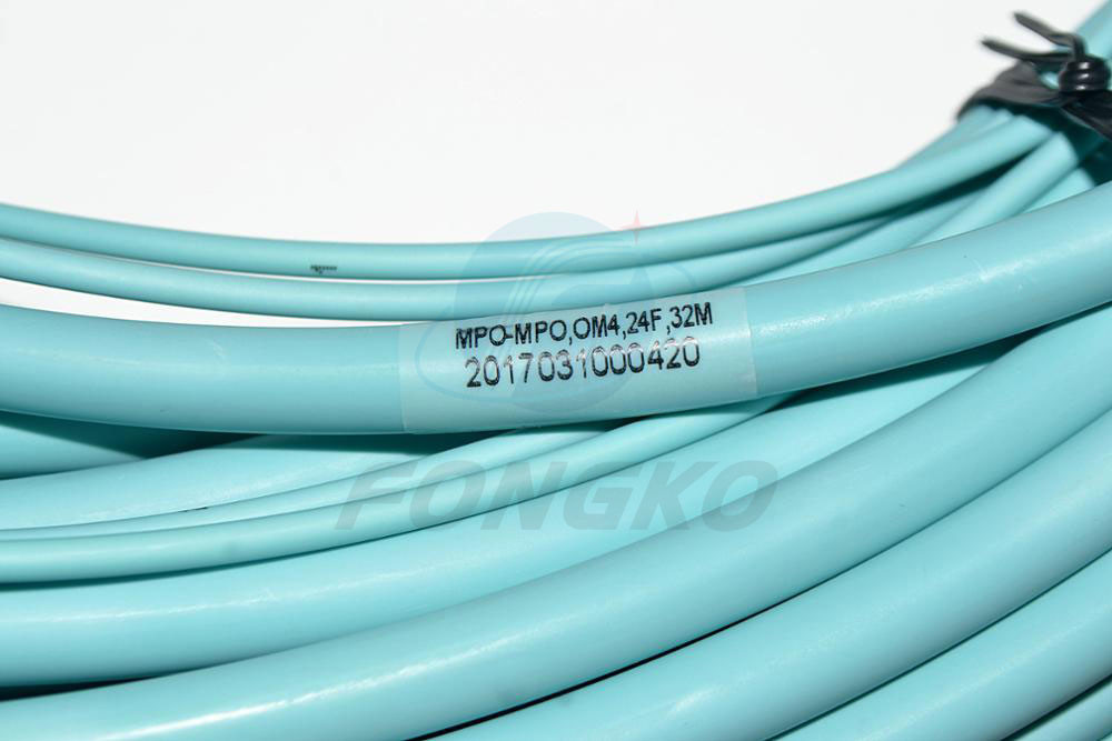 1 meter 24 Core OM3 Multimode Fiber Optical MPO Trunk Cable