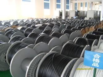 Shaoxing Libo Electric Co., Ltd