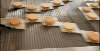 SIEMENS Touch Screen Single Lane Cream Biscuit Machine Automatic
