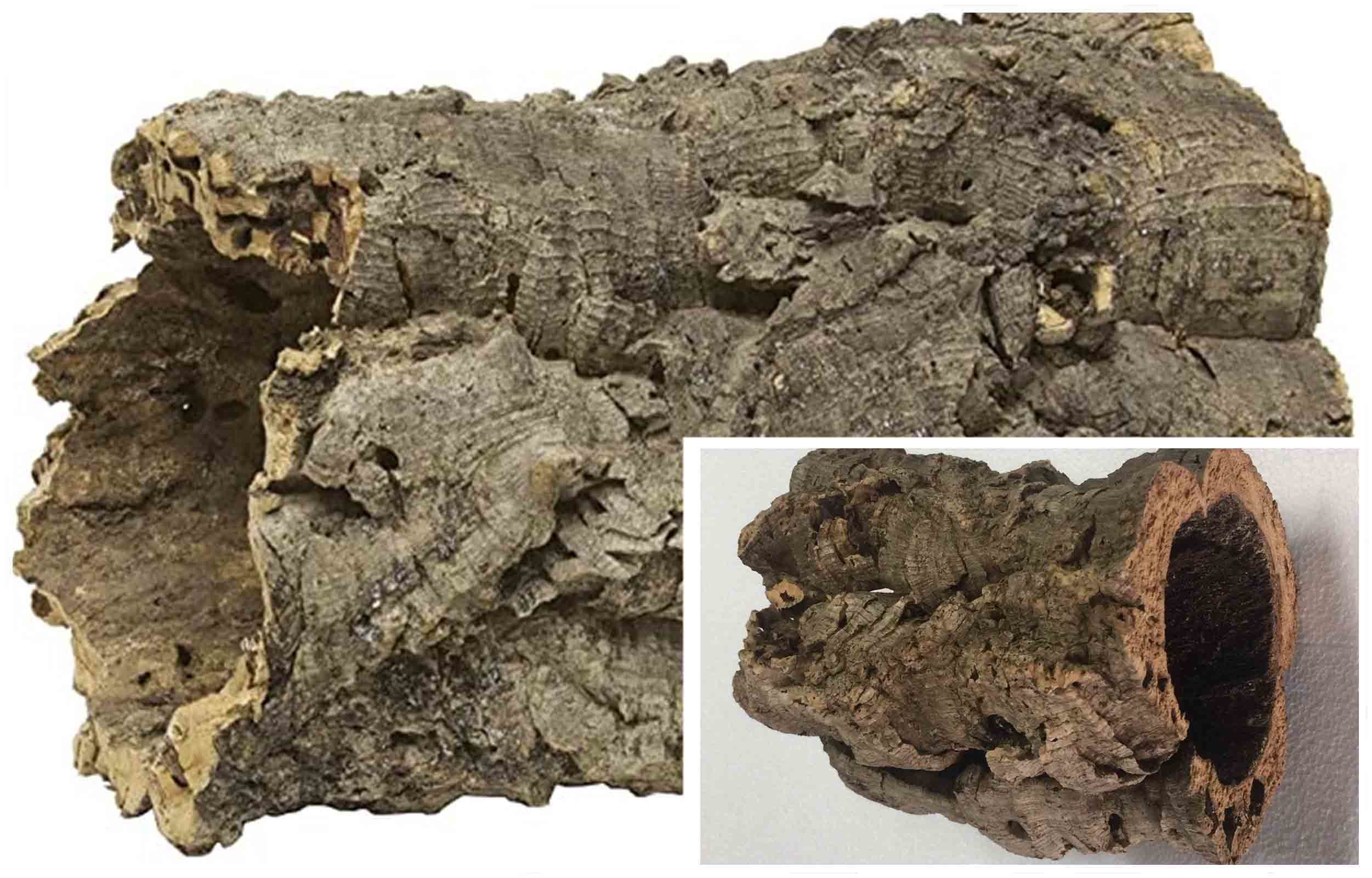 FDA Cork Raw Material Aquarium Bulk Cork Bark Rounds Driftwood