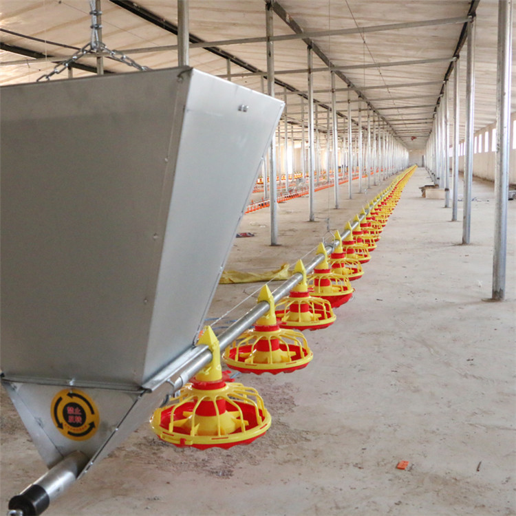 Dia 45mm Poultry Farm Equipment Feed Pipe Galvanized Steel For Broilers Products