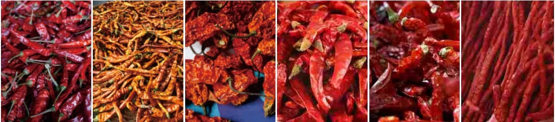 High Performance Hot Pepper Chili Drying Line Automatic Chili Dryer Machine Industrial