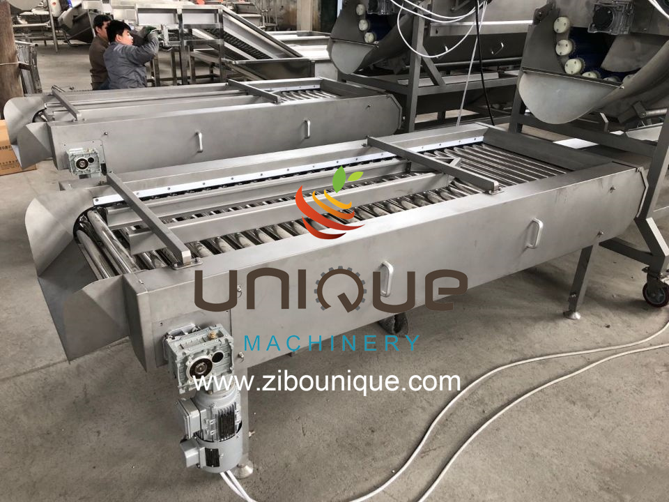 2200 KG Fruit and Vegetables Vacuum Packed Potato Processing Line for Precise Cutting