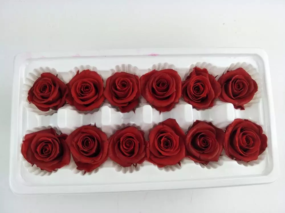 Ecuador Roses Diy Preserved Rose Head Gold Covered Roses rose gold rose