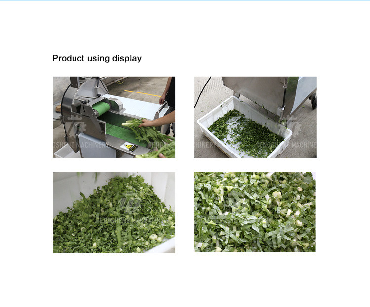 2.25KW 140KG 1.5HP Frequency conversion adjustable belt vegetable slicer vegetable leaf slicer