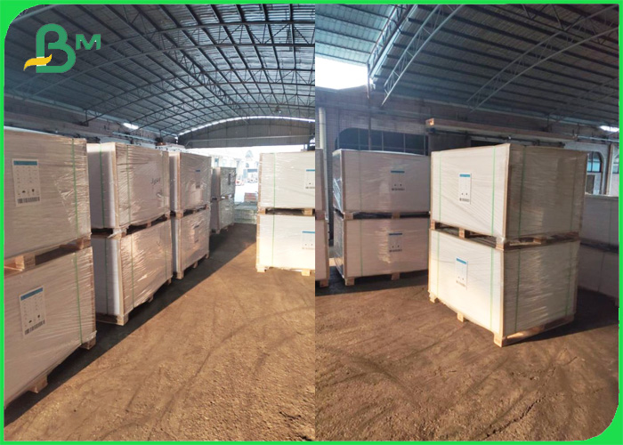 Kraft Take Out Containers Material Food Packaging Paperboard 300gsm