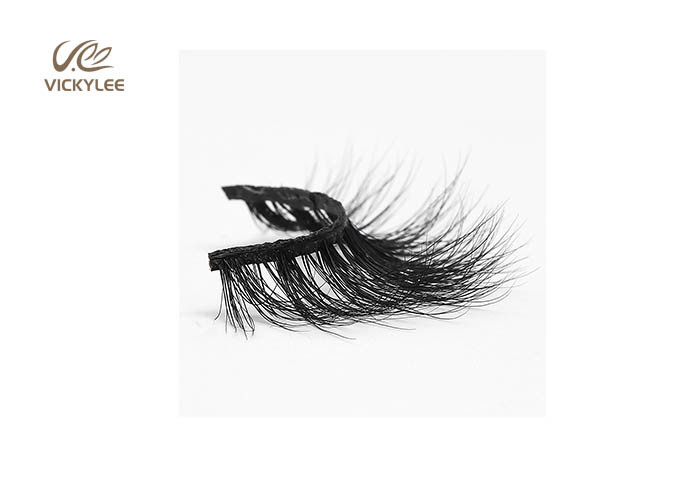 Impalpable Silk Shape 22MM Natural False Eyelashes