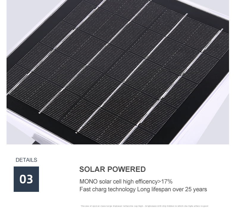 Outdoor Wall Mounted Solar Light , Solar body Induction Wall Lamp 3000k 6000k