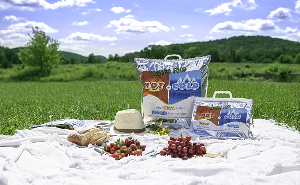 food kept cold in hot and cold bag at picnic