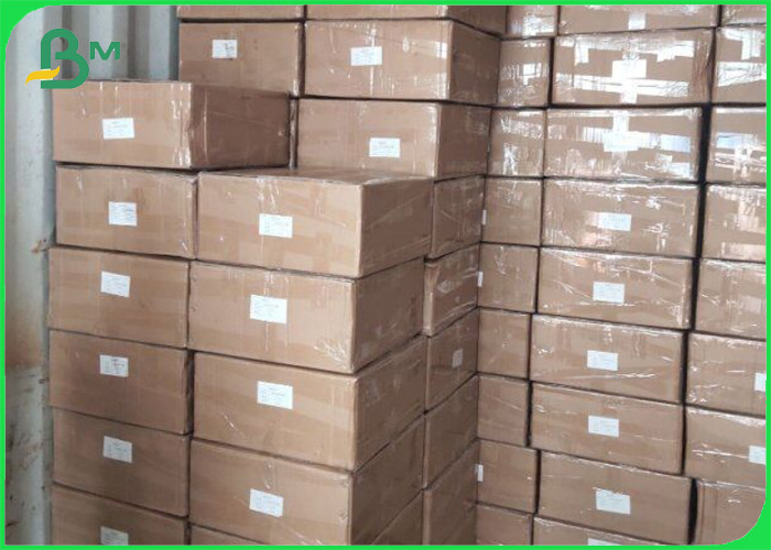 60GSM / 120GSM Straw Paper Roll Biodegradable & Food Grade EU / FDA Certificated